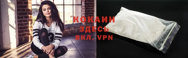 стаф Валдай