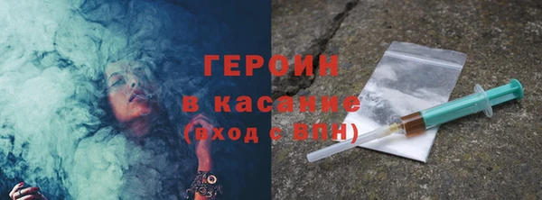гидра Покачи